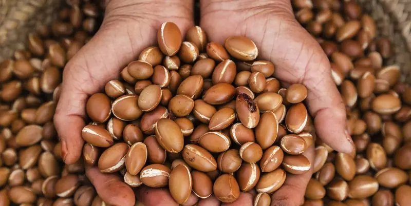 Argan seeds