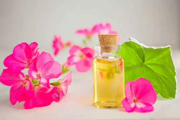 Beautynfacts geranium