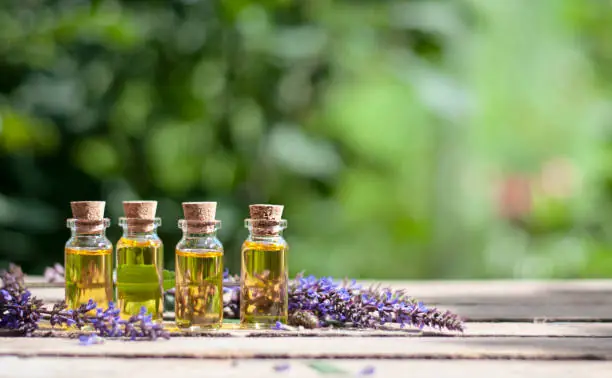 Beautynfacts sage