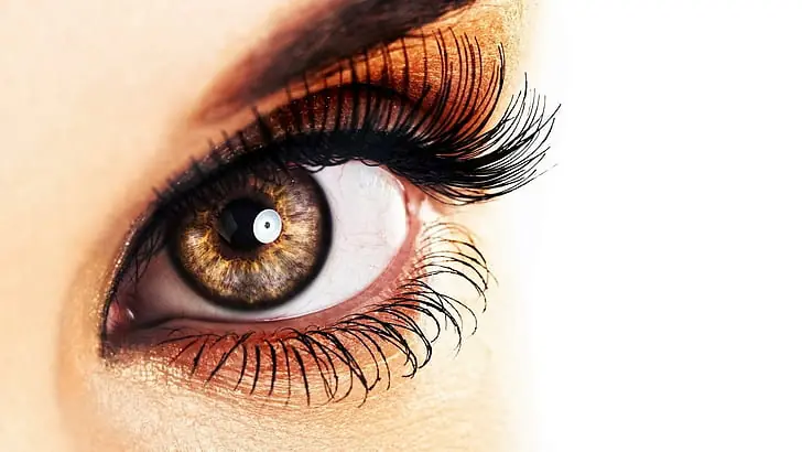 Beautynfacts impressive eye lashes