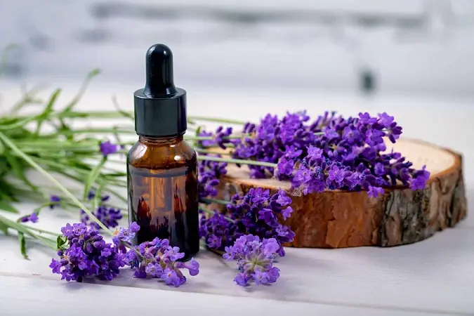 Beautynfacts lavender