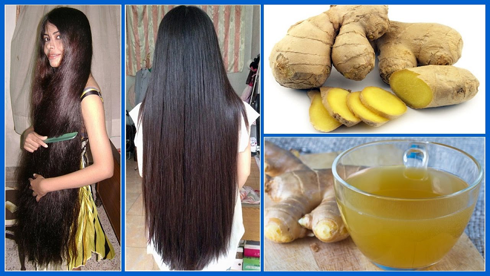 beautynfacts Benefits of Ginger for Hair