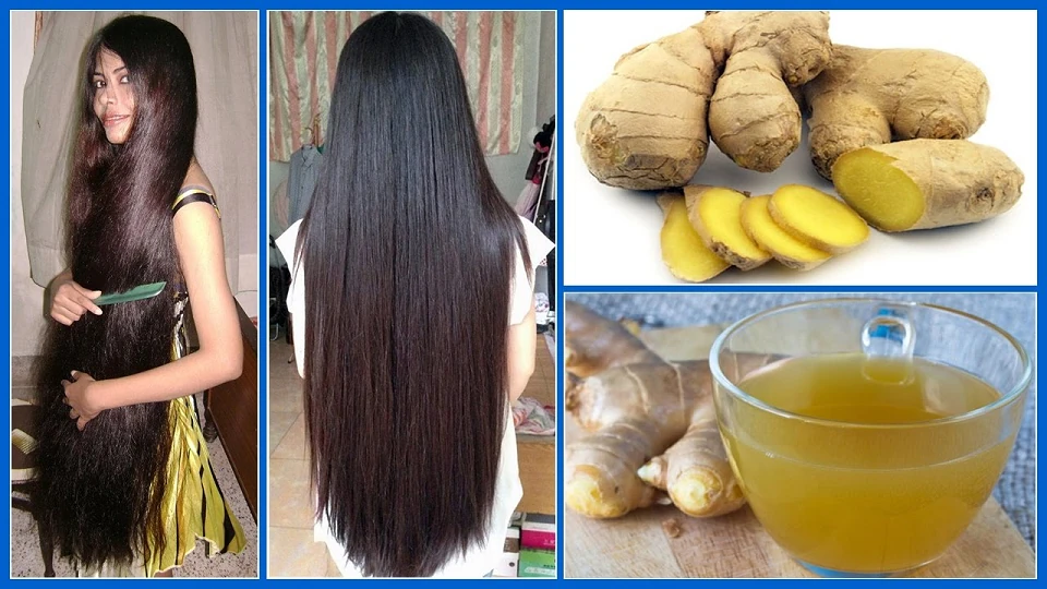 Beautynfacts benefits of ginger for hair