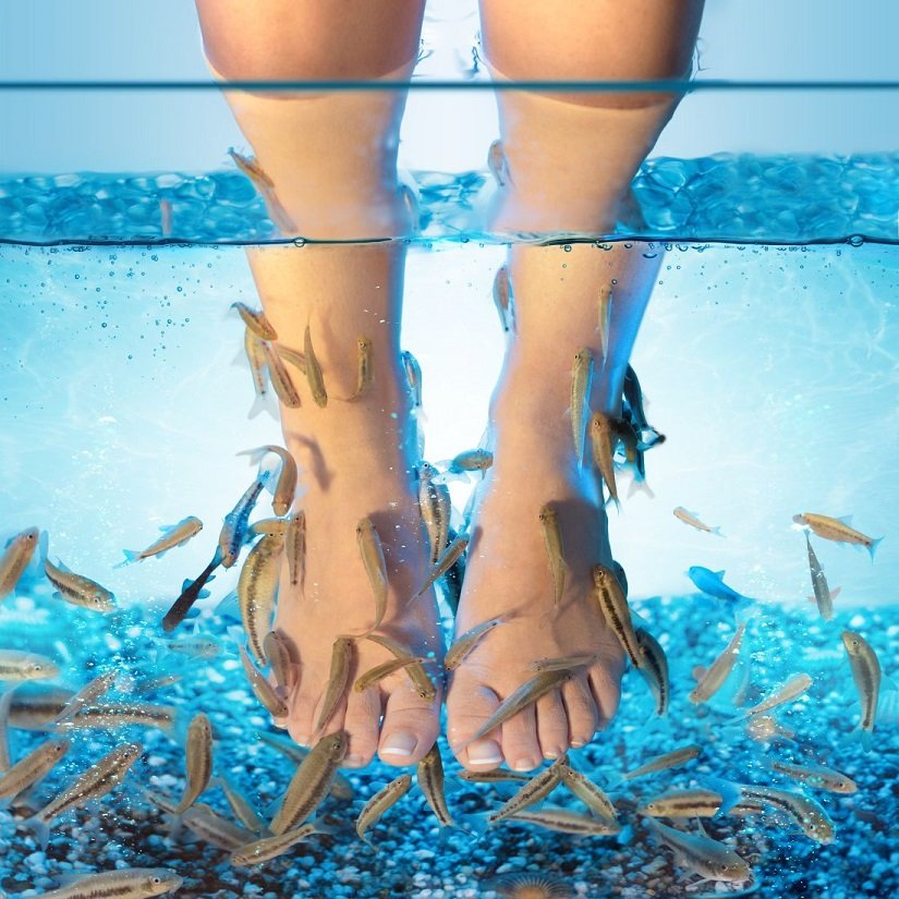 beautynfacts Fish Pedicure