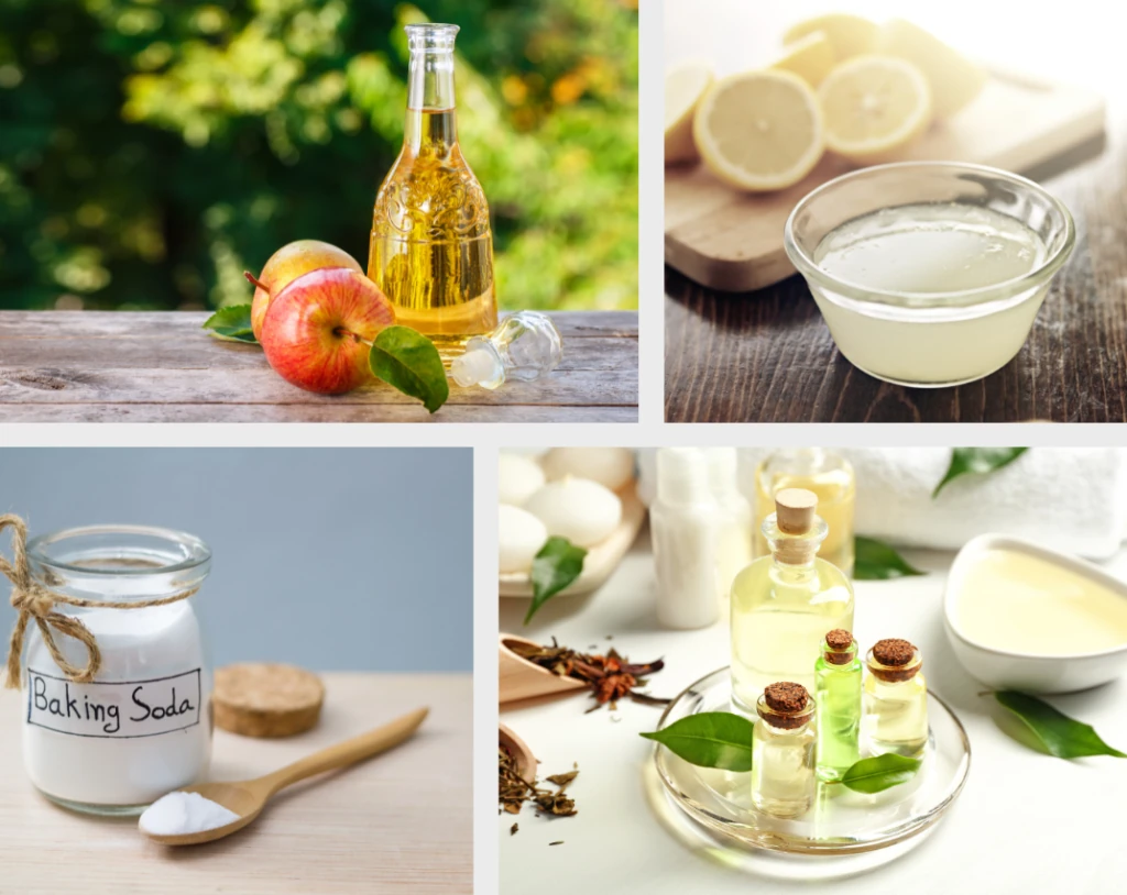 Beautynfacts home remedies for dandruff
