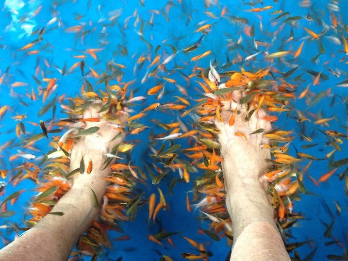 beautynfacts Smooth Feet Fish Pedicures