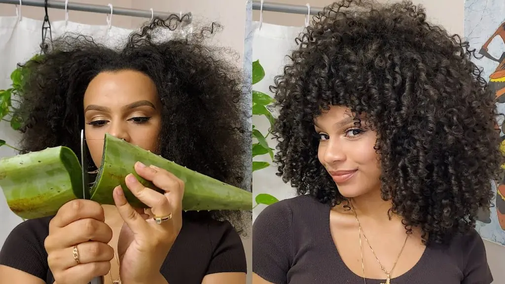 Aloe Vera for Hair: Benefits, Tips, and Tricks Aloe Vera for Hair: Benefits, Tips, and Tricks