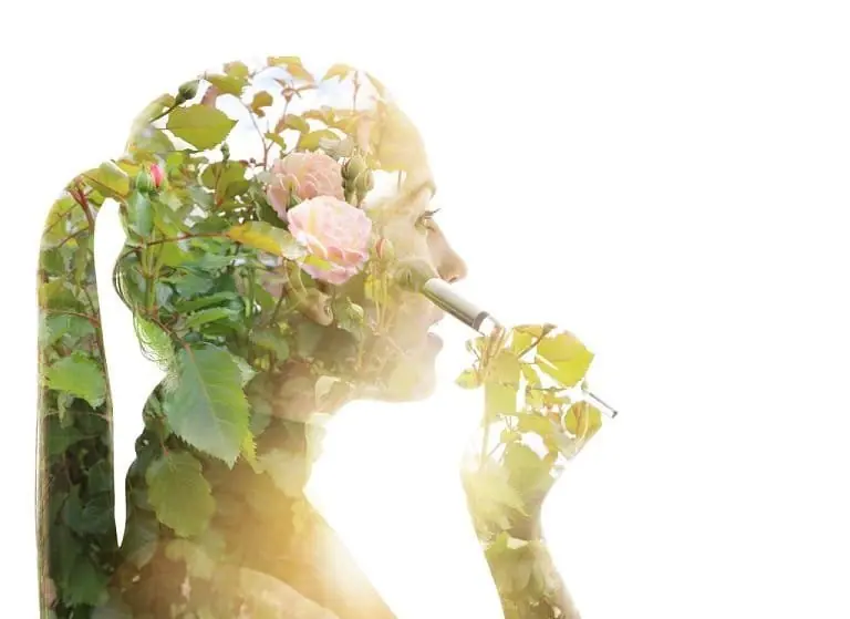 Natural Cosmetics: Why Choose This Beauty Routine?