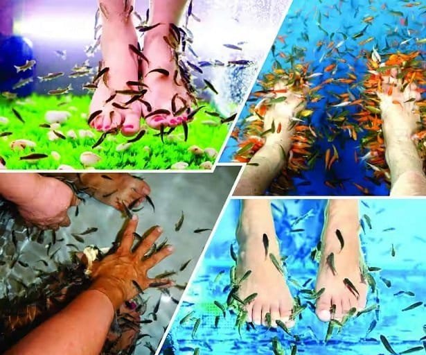 beautynfacts Fish Pedicures