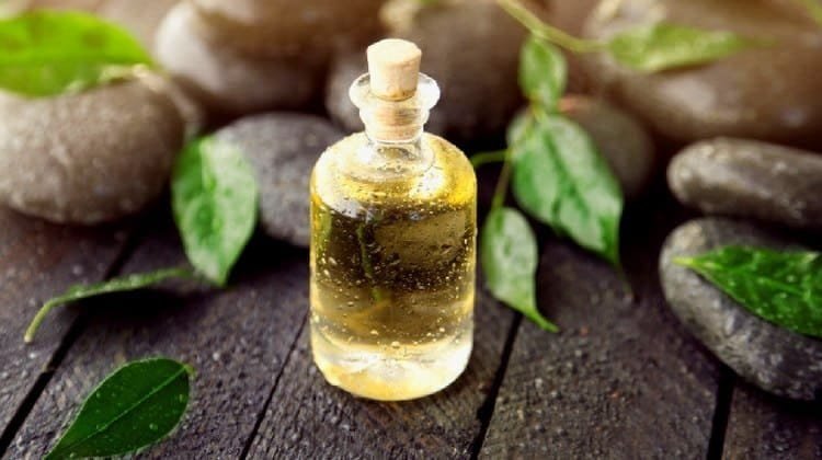 beautynfacts Tea Tree Oils