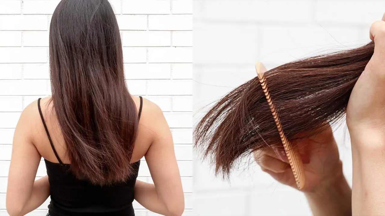 Beautynfacts. Com the science behind split ends and how to prevent them 3