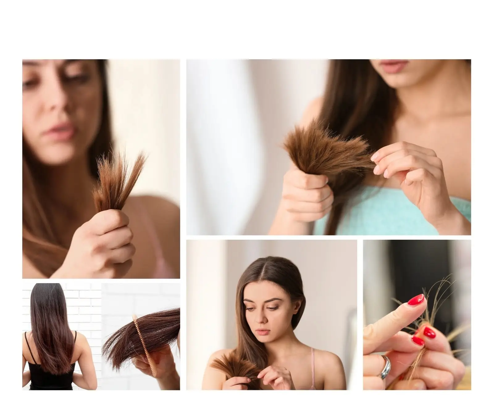 The science behind split ends and how to prevent them