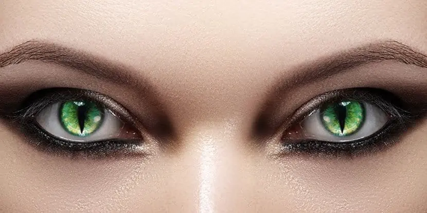 How to Wear Makeup With Contact Lenses Safely How to Wear Makeup With Contact Lenses Safely