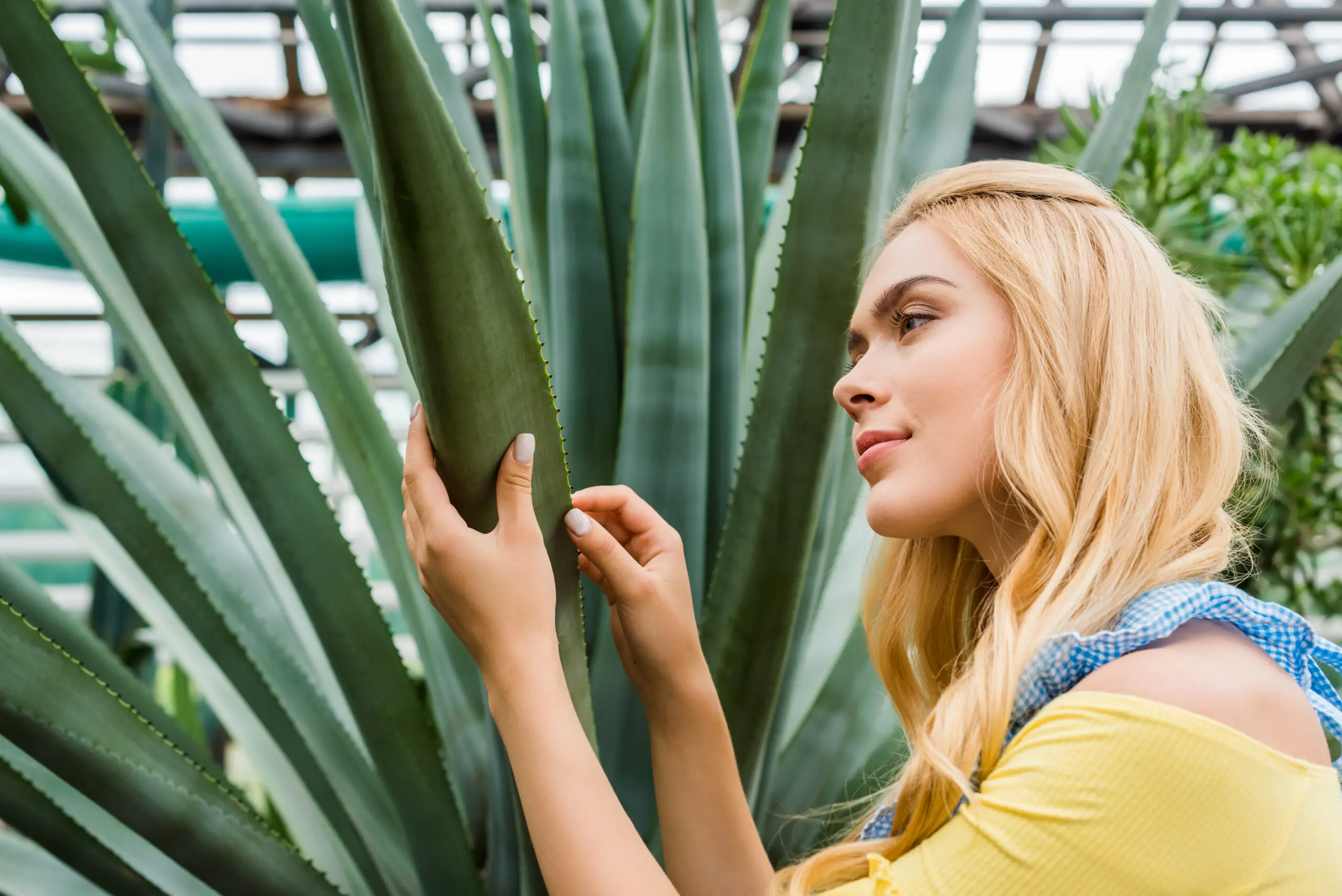 The hydration secrets of aloe vera for lips in 2025
