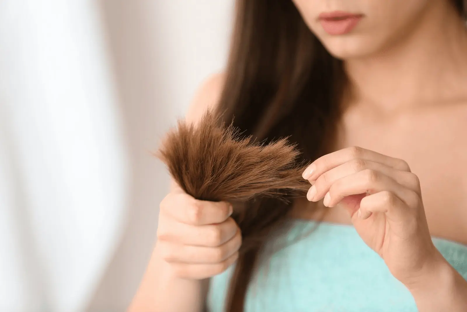 Beautynfacts. Com the science behind split ends and how to prevent them 2
